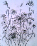 点击在新窗口中查看