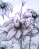 点击在新窗口中查看