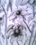 点击在新窗口中查看