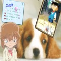 2006年1月20日