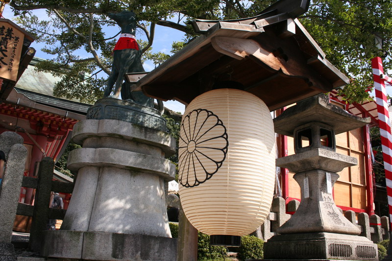 点击在新窗口中查看