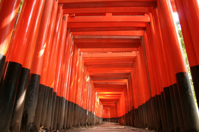 点击在新窗口中查看