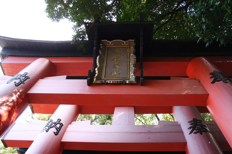 点击在新窗口中查看