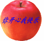  柳絮龙网站