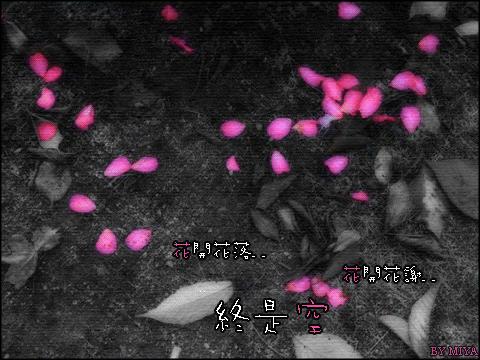 点击在新窗口中查看