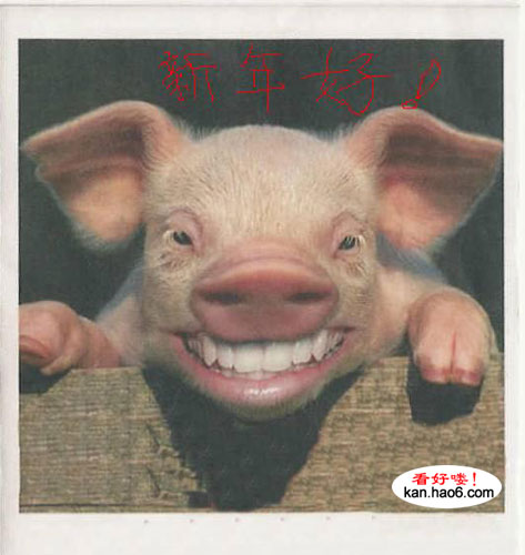 点击在新窗口中查看