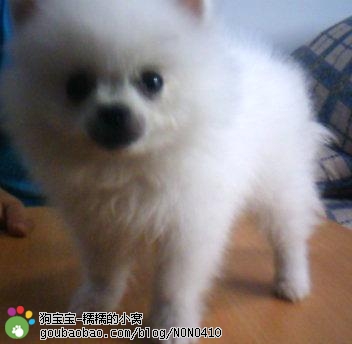 点击在新窗口中查看