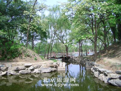 点击在新窗口中查看