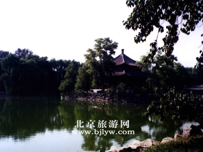 点击在新窗口中查看