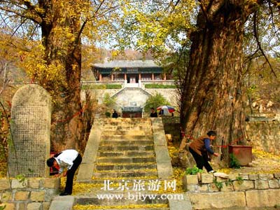 点击在新窗口中查看