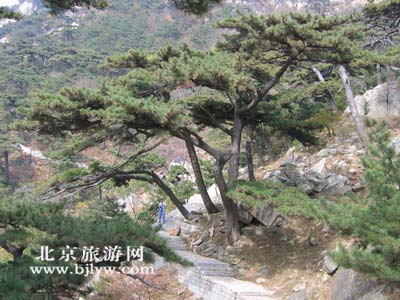 点击在新窗口中查看