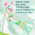 雨后淡淡