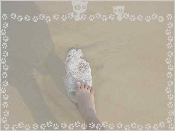 点击在新窗口中查看