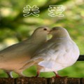 关爱