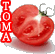 TOMA番茄会