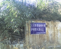 点击在新窗口中查看