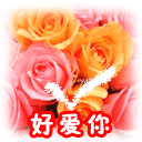 点击在新窗口中查看