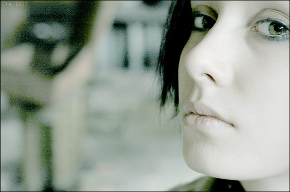 点击在新窗口中查看