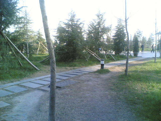 点击在新窗口中查看