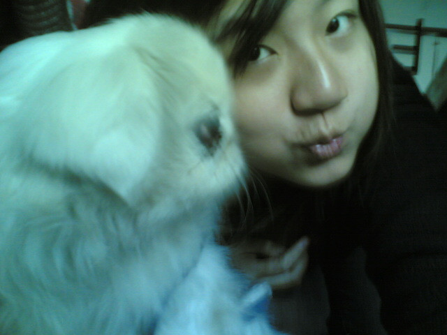 点击在新窗口中查看