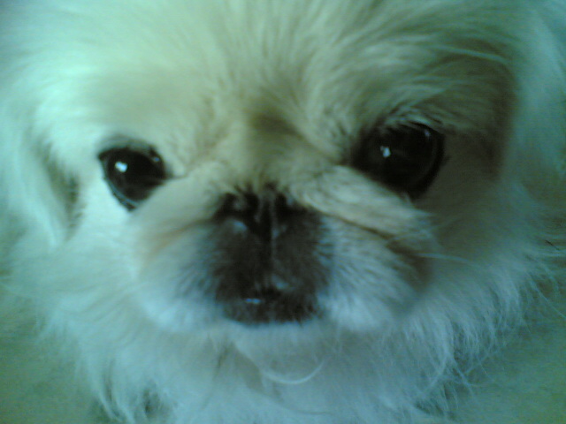 点击在新窗口中查看