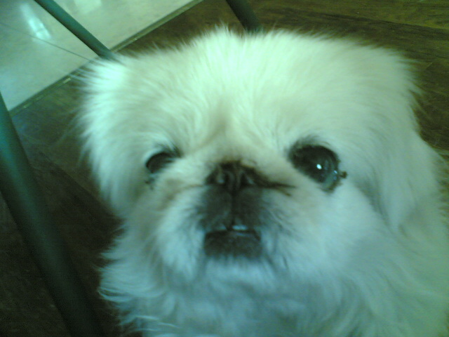 点击在新窗口中查看