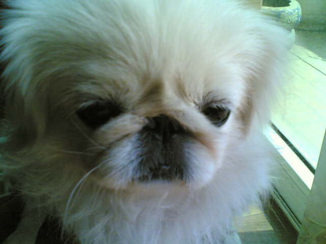 点击在新窗口中查看