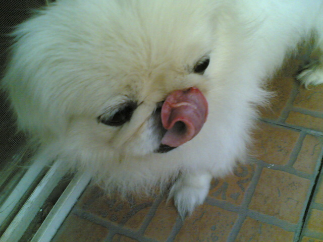 点击在新窗口中查看