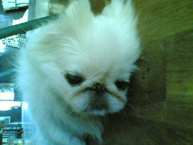 点击在新窗口中查看