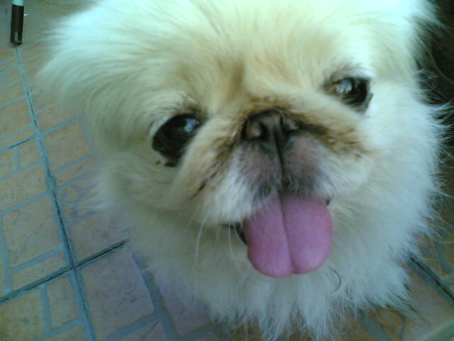 点击在新窗口中查看