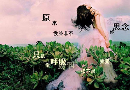 点击在新窗口中查看