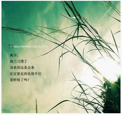 点击在新窗口中查看