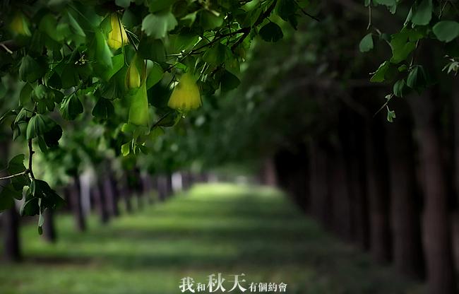 点击在新窗口中查看