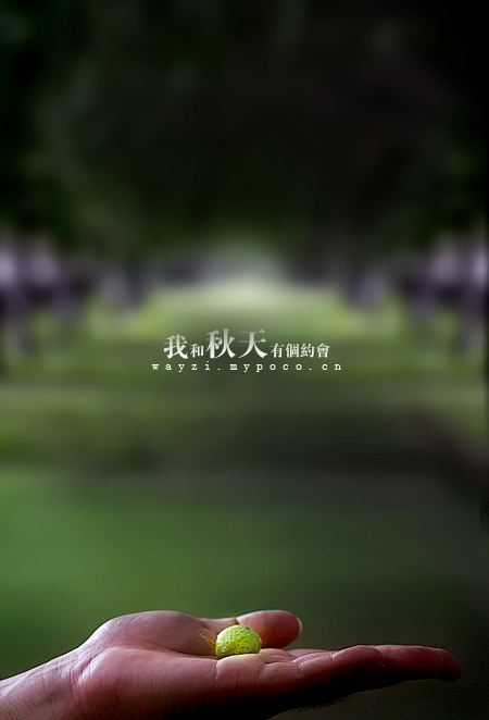 点击在新窗口中查看