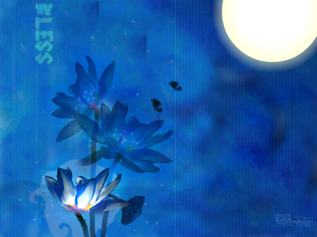 点击在新窗口中查看