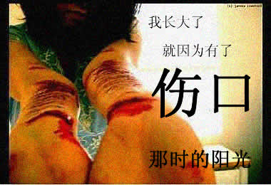 点击在新窗口中查看