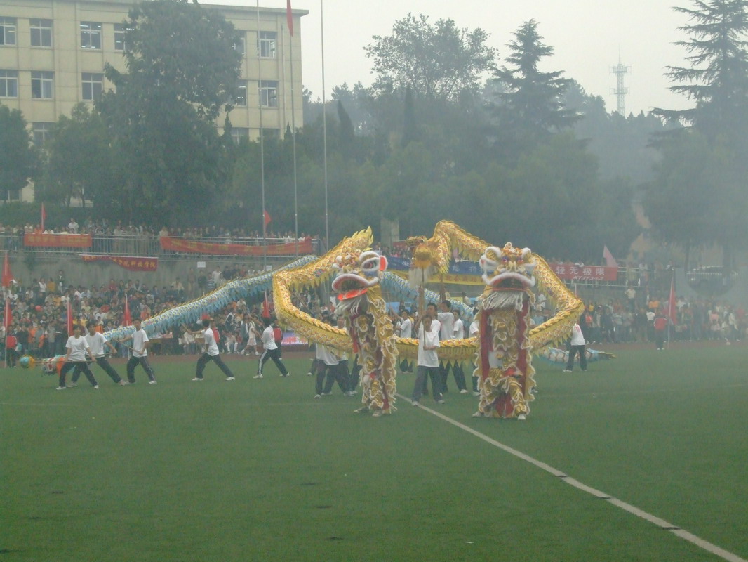点击在新窗口中查看
