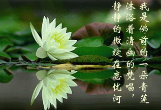 点击在新窗口中查看