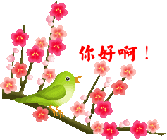 点击在新窗口中查看