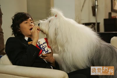 点击在新窗口中查看