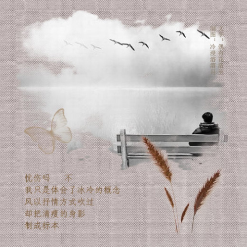 点击在新窗口中查看