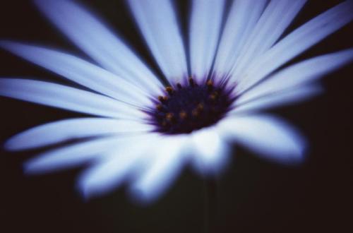 点击在新窗口中查看