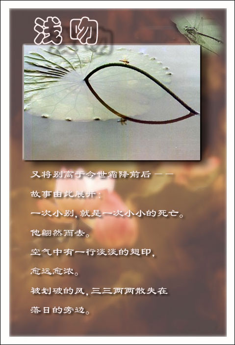 点击在新窗口中查看