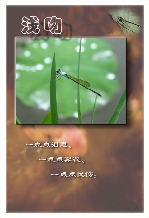 点击在新窗口中查看