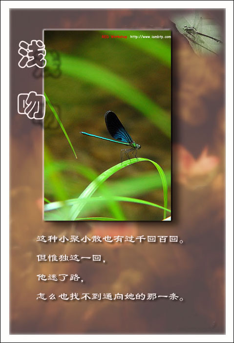 点击在新窗口中查看