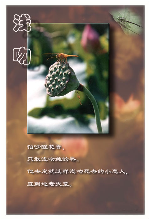 点击在新窗口中查看