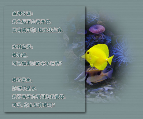 点击在新窗口中查看