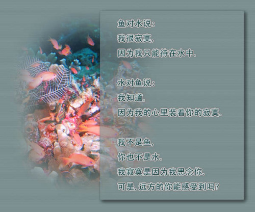 点击在新窗口中查看