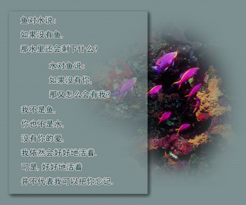 点击在新窗口中查看