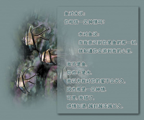 点击在新窗口中查看